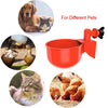 Bebedero Automático para Aves de Corral