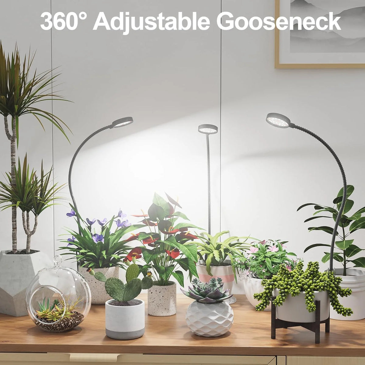 A 360° adjustable gooseneck grow light illuminating various indoor plants on a wooden table.