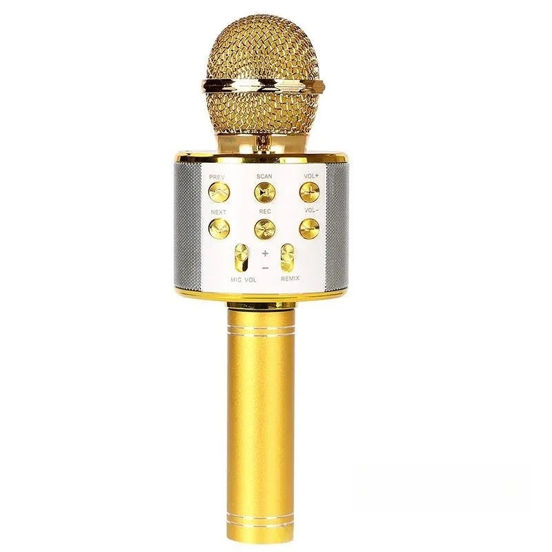 Portable Bluetooth Karaoke Microphone & Speaker