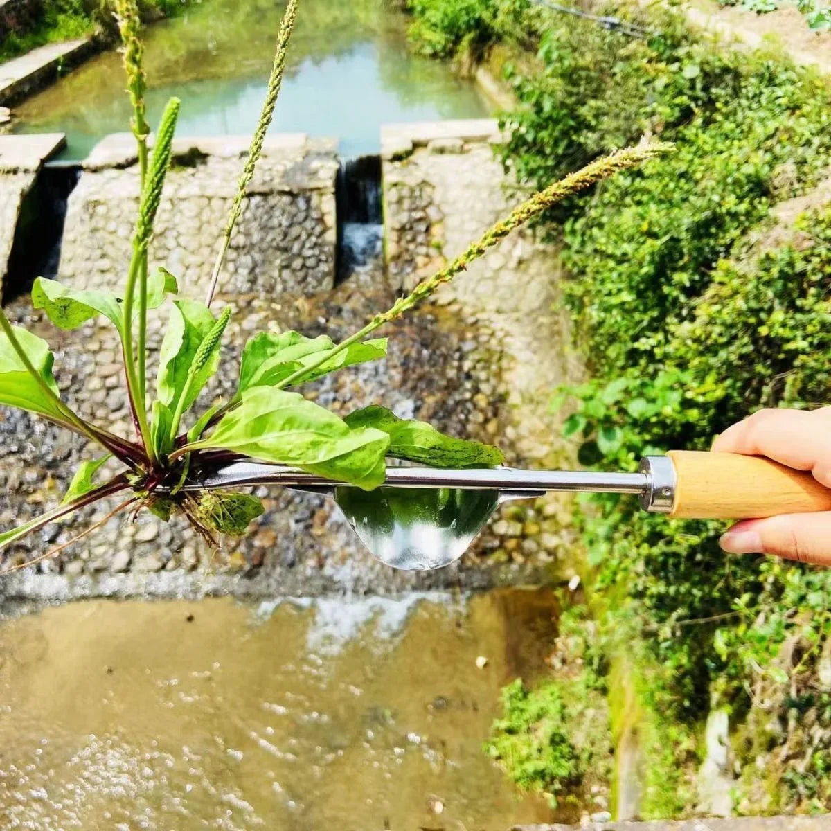 A hand holds a carbon steel manual weeding tool set with a sickle, weeder, and hand shovel near a small water feature.