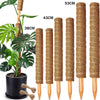 Stackable Natural Plant Support Poles