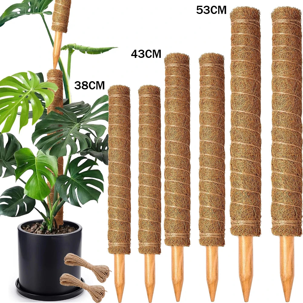 Stackable Natural Plant Support Poles