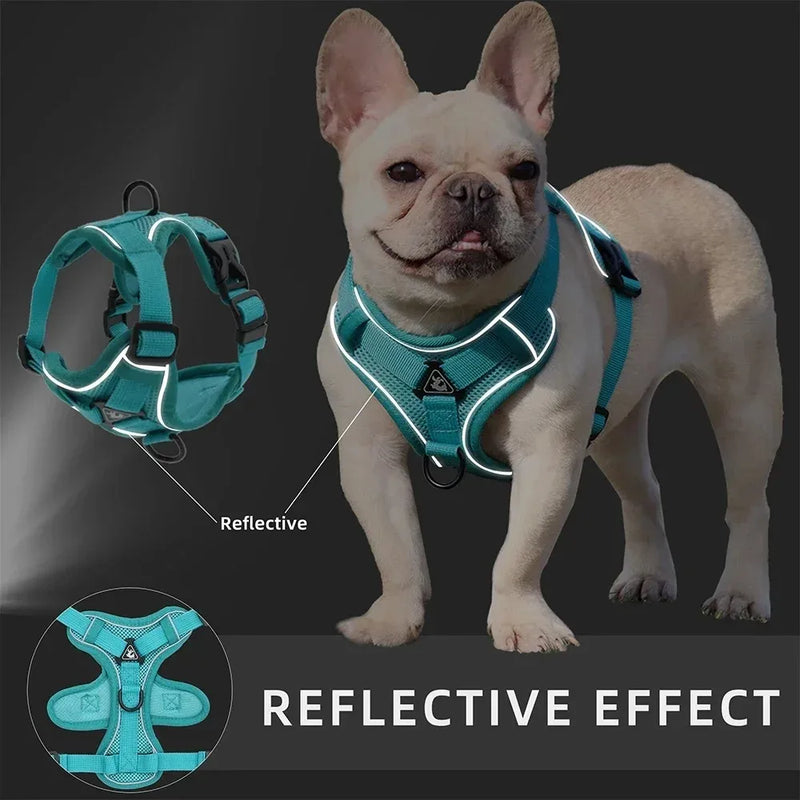 Adjustable Reflective Dog Harness & Leash Set