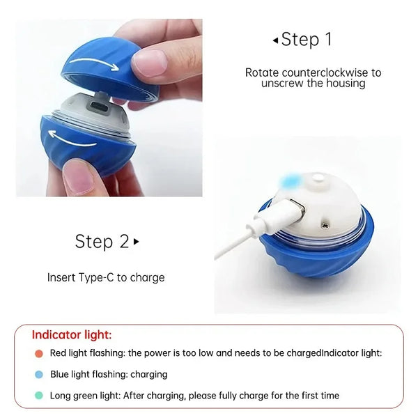 Automatic Interactive Dog Ball