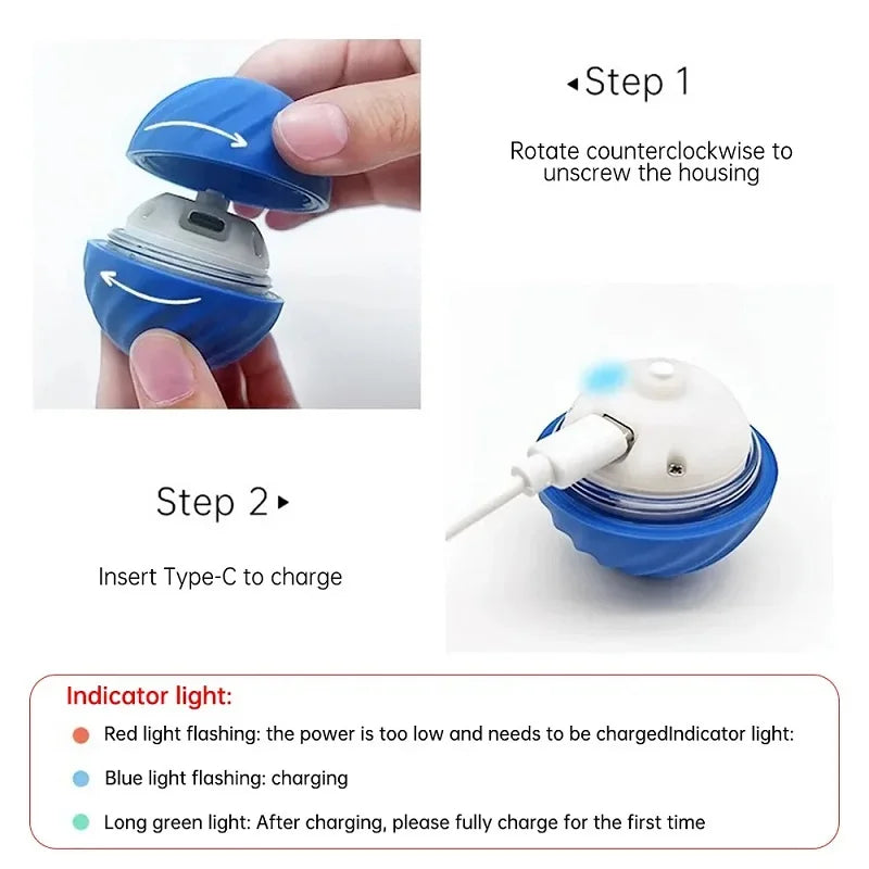 Automatic Interactive Dog Ball