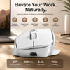 Ergonomic Vertical Wireless Mouse