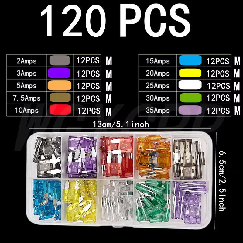 Standard & Mini Blade Fuse Assortment Kit for Cars and Trucks