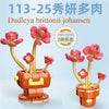 DIY Succulent Plant Building Block Bouquet