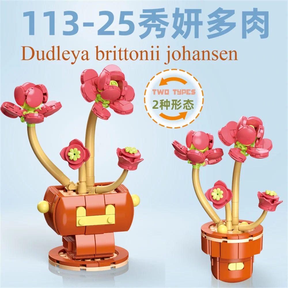 DIY Succulent Plant Building Block Bouquet