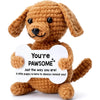 Handmade Crochet Pocket Hug Doll with Custom Message