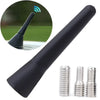 Compact Black Car Radio Antenna with Adapter Screws