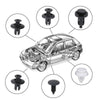 100-Piece Assorted Auto Trim Fastener Clip Kit