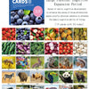 A set of Montessori high-contrast flash cards featuring various fruits, vegetables, animals, and vehicles for baby visual sti
