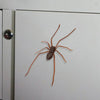 A realistic brown spider is affixed to a white refrigerator door.
