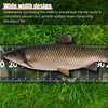 A fish is placed on a ruler showing wide width design for measuring the object fish.