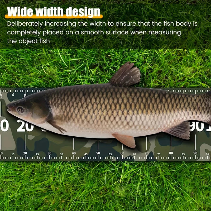 A fish is placed on a ruler showing wide width design for measuring the object fish.