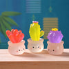 Three colorful succulent cactus miniatures in pots displayed on a wooden surface.