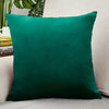 Velvet Throw Pillow Cover for Sofa and Bed Decor