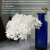 Preserved Hydrangea Flower Heads for Crafts and Home Decor