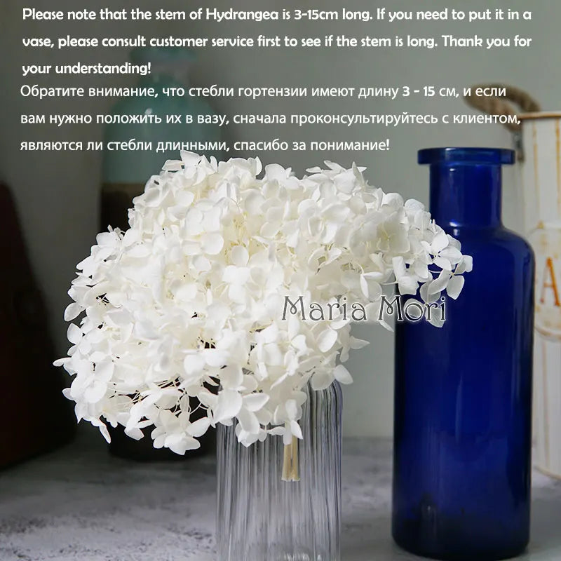 Preserved Hydrangea Flower Heads for Crafts and Home Decor