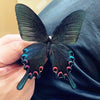 A dark green and black butterfly specimen displayed in a protective frame, held by a hand.