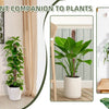 A vertical plant with green leaves is displayed in a white pot, shown next to a wooden plant pole and a large monstera leaf.