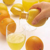 Compact Manual Citrus Juicer