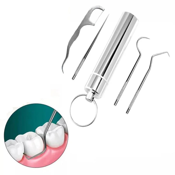 Reusable Stainless Steel Toothpick Set with Portable Case