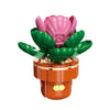 DIY Succulent Plant Building Block Bouquet