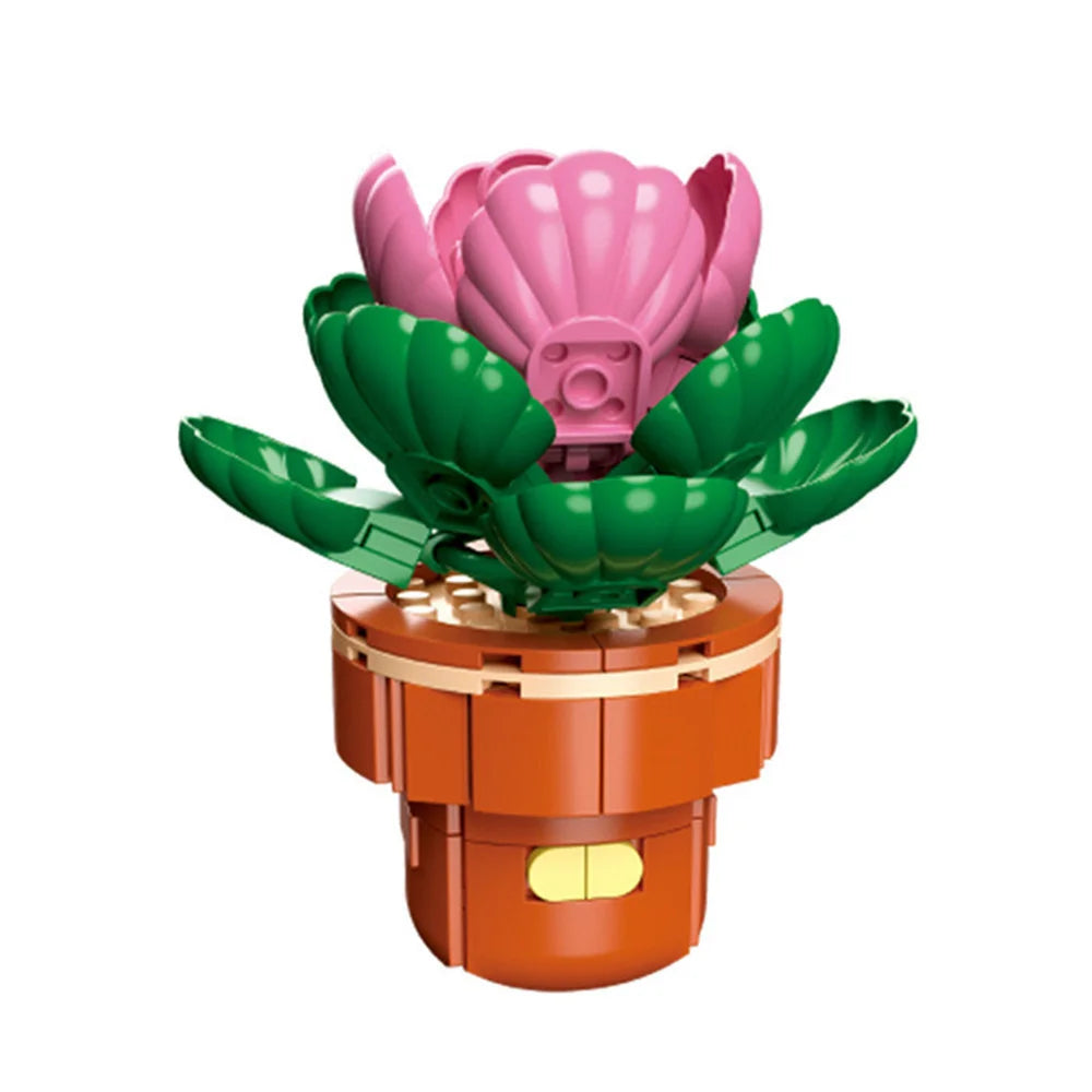 DIY Succulent Plant Building Block Bouquet