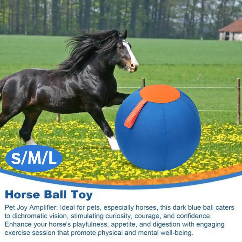 Inflatable Herding Ball for Dogs