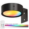 Magnetic LED Picture Light with Remote Control