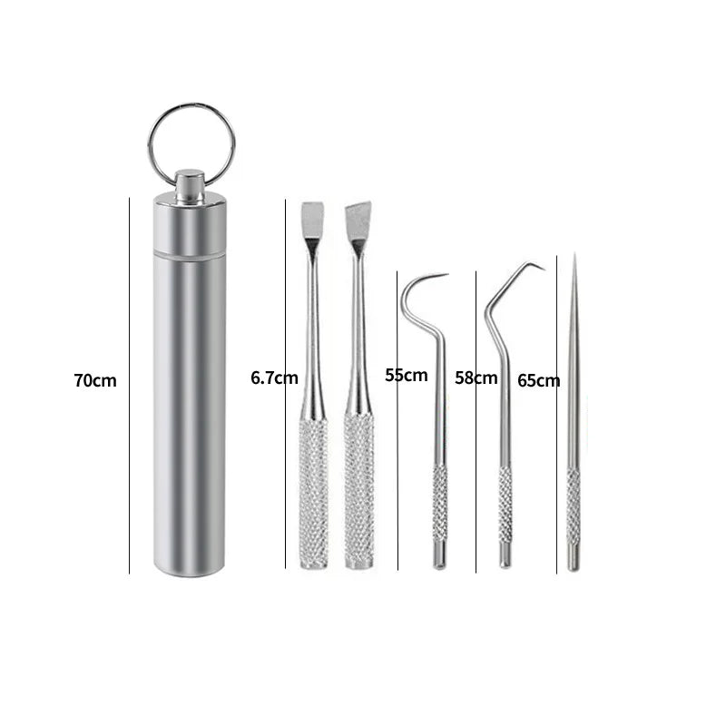Reusable Stainless Steel Toothpick Set with Portable Case