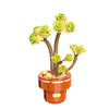 DIY Succulent Plant Building Block Bouquet
