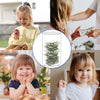 Clear Acrylic Piggy Bank for Adults and Kids