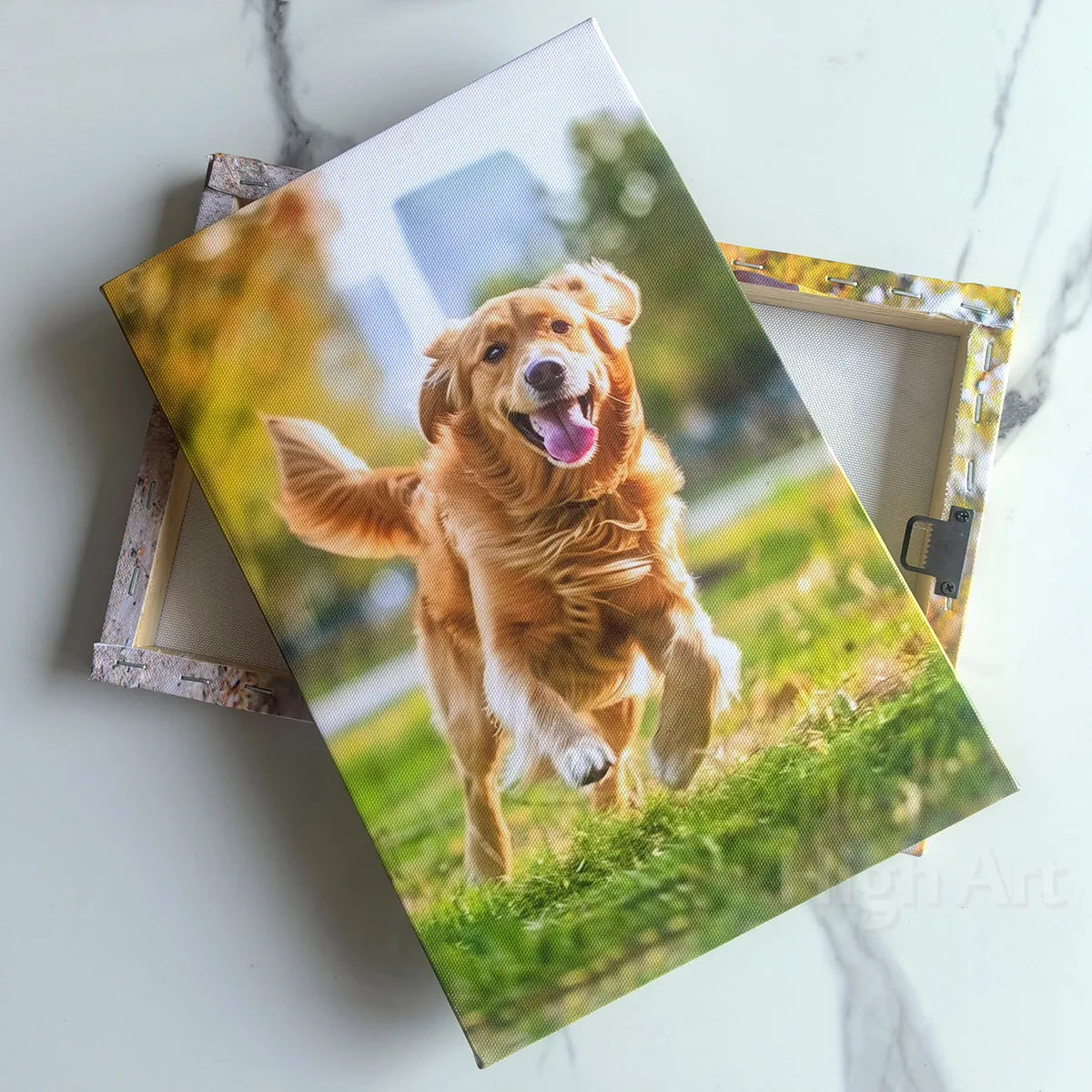 Gerahmtes Foto eines glücklichen Golden Retrievers, der durch grünes Gras rennt.