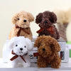 Three fluffy teddy bears in shades of beige, brown, and white sitting on a white box.