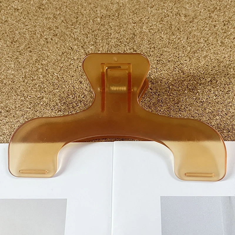 Frosted Transparent Book Page Holder Clip