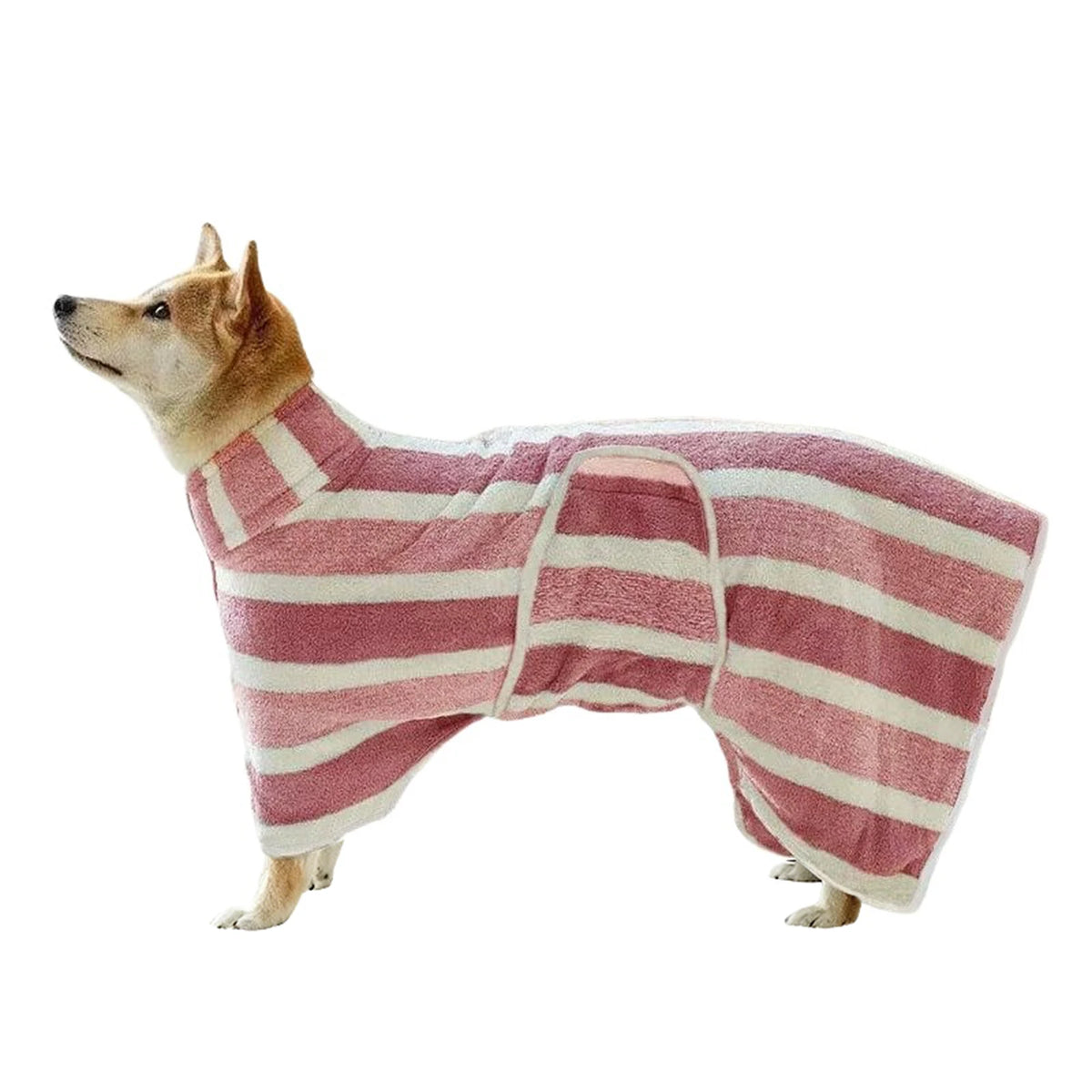 A dog wearing a pink and white striped quick-dry ultra-absorbent bathrobe.