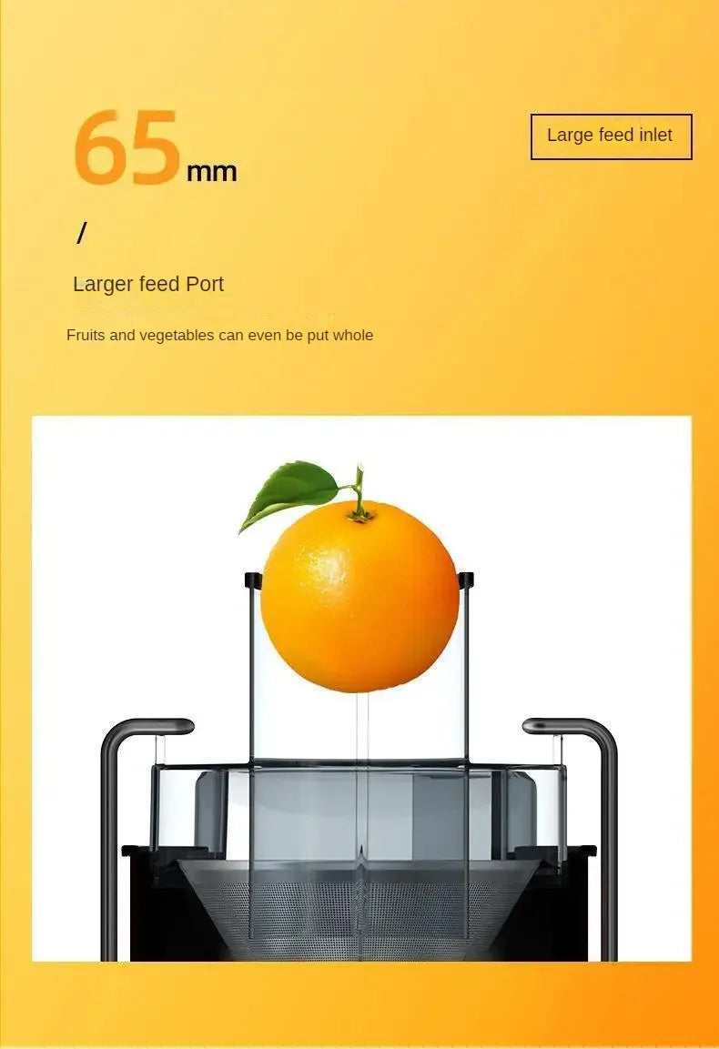 A close-up view of a stainless steel centrifugal juicer with a large feed inlet, demonstrating its design for processing whol