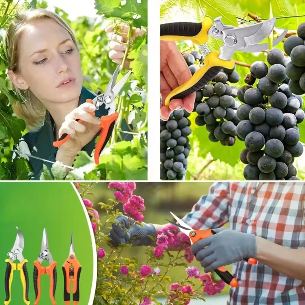 A woman is shown using a stainless steel garden scissors set with ergonomic handles to harvest grapes in a vineyard.