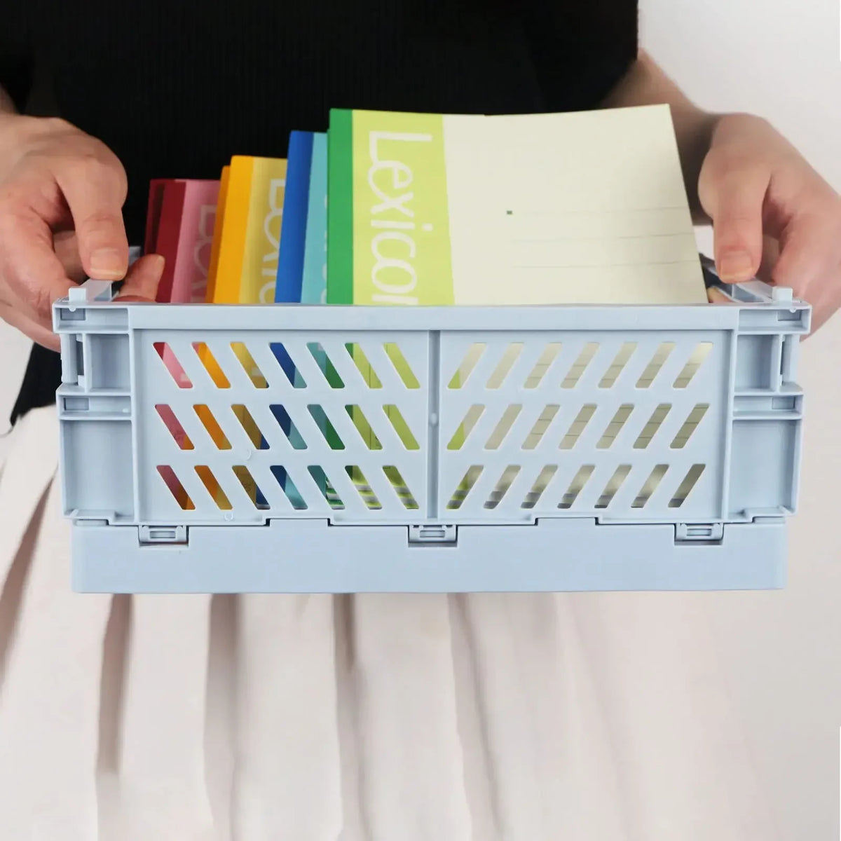 Collapsible Plastic Storage Baskets, Set of 2