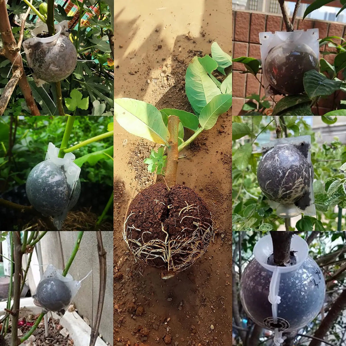 Reusable plant rooting ball with a hinged lid used for air layering propagation