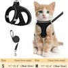 A small orange tabby kitten wearing a black harness and leash set for pet safety.