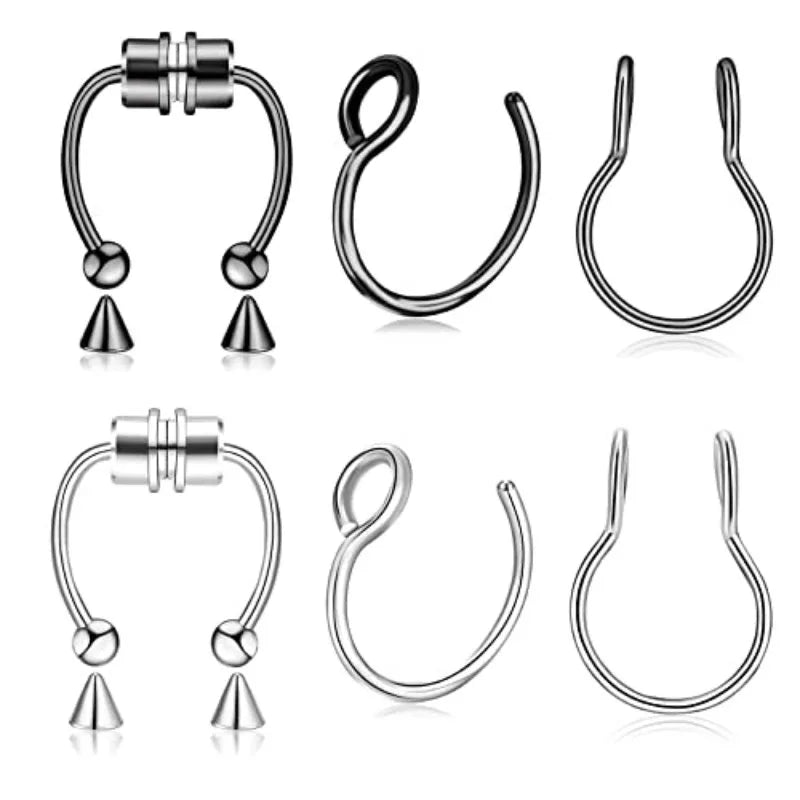 Magnetic Septum Ring Set