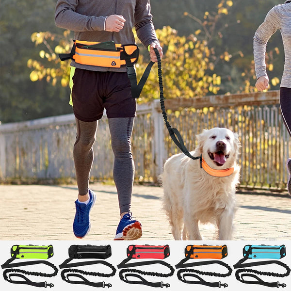 Hands-Free Reflective Dog Leash with Waist Pouch