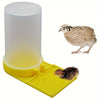 Automatic Chicken Water Dispenser with Drowning Prevention
