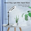 A black ring light with a tripod stand is positioned on a white table next to a potted plant.