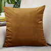 Velvet Throw Pillow Cover for Sofa and Bed Decor