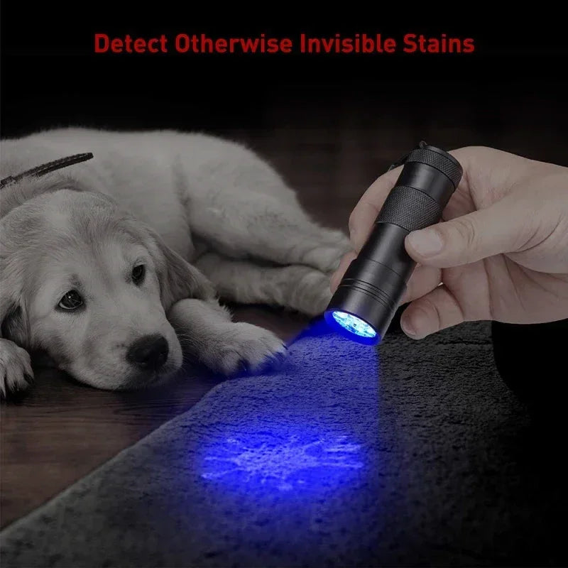 A hand holds a UV flashlight illuminating a dark gray fabric, detecting invisible stains on a dog's fur.